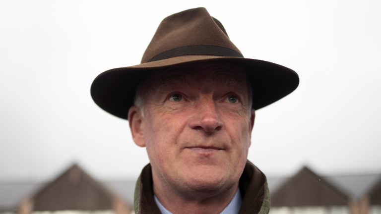 Willie Mullins: will be represented in the Listed bumper at Market Rasen