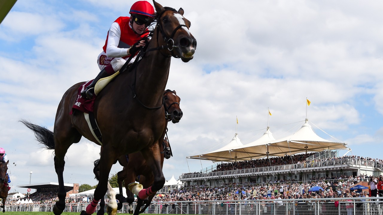 Deirdre connections insist they are still aiming to land Japan's first