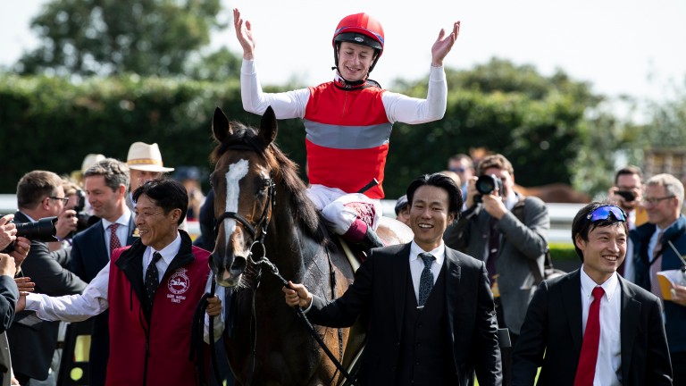 Japanese mare Deirdre was last seen finishing fourth in the Hong Kong Vase