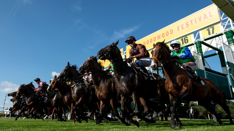 Glorious Goodwood: ITV's coverage kicks off with an 18-runner handicap