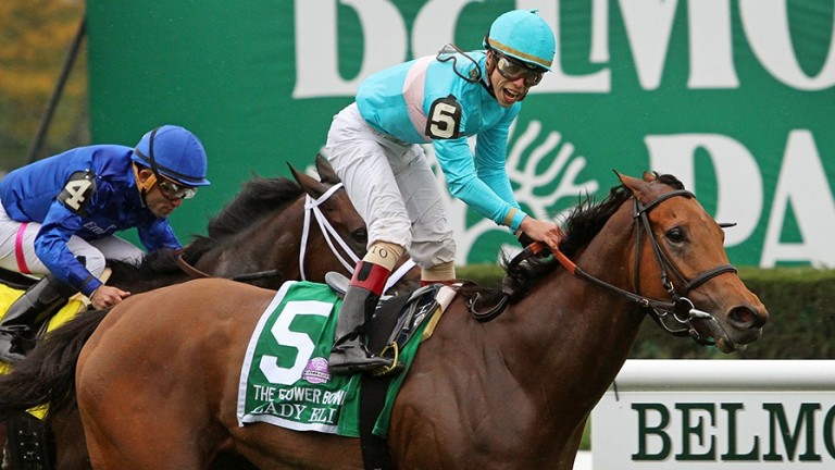 Lady Eli: made a remarkable recovery from laminitis to win more Grade 1s