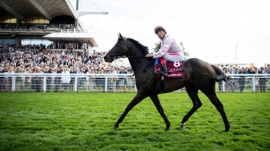 Too Darn Hot (Frankie Dettori) after winning the Sussex StakesGoodwood 31.7.19 Pic: Edward Whitaker