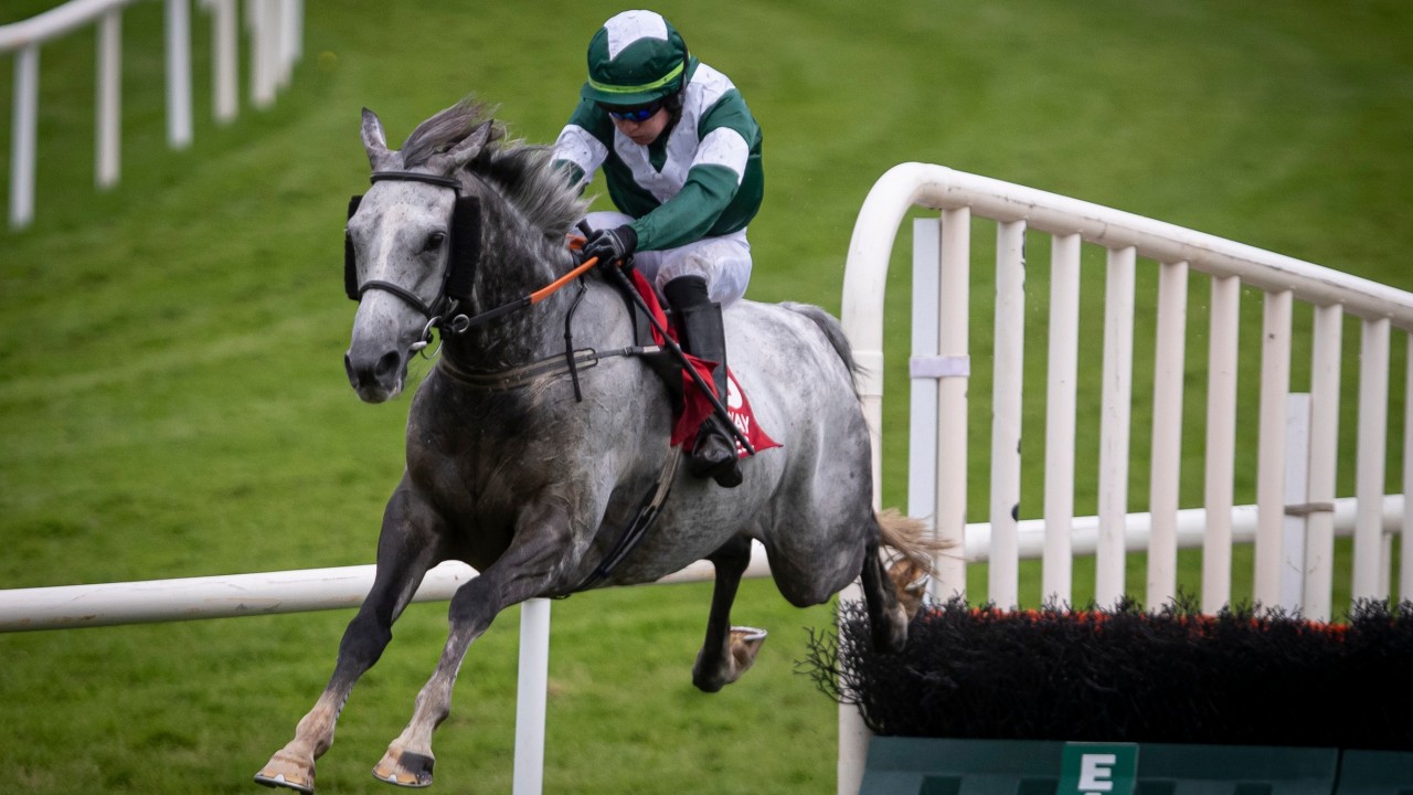 Paddy Power Horse Racing Betting Paddy Power Horse Racing Betting