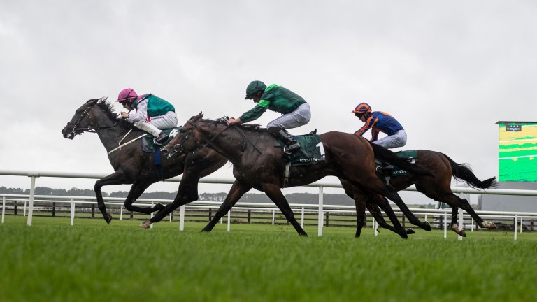 Siskin beats Monarch Of Egypt again to win the Phoenix Stakes