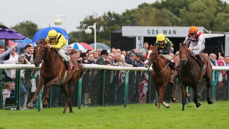 Addeybb was a good winner of the Rose Of Lancaster Stakes at Haydock last time