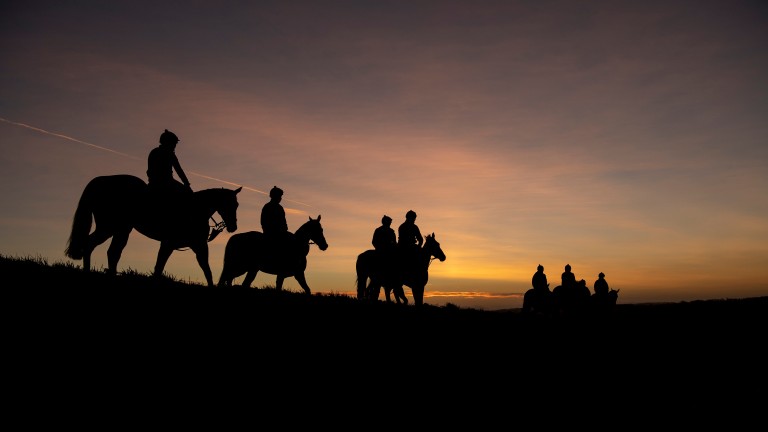 Work-riders on the gallops: social media users have been displaying their love for horses