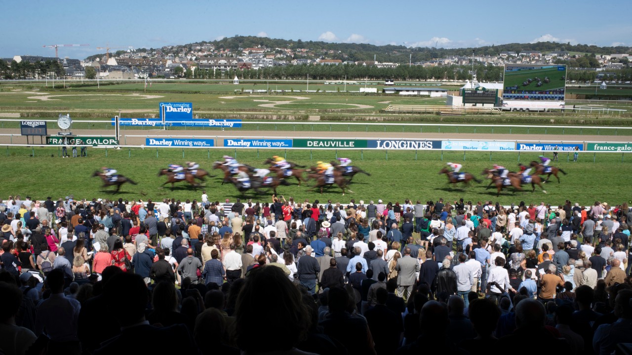 Ts meaning horse racing Ts meaning horse racing
