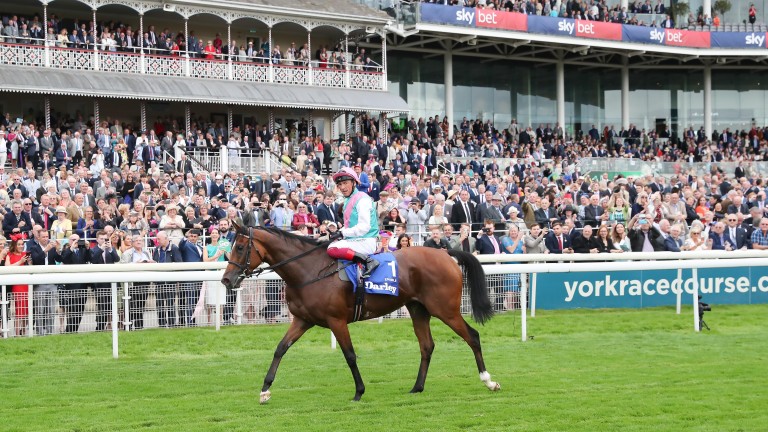 Enable: took her record to 13 victories from 14 starts in the Yorkshire Oaks