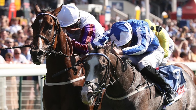 Shine So Bright (blue): a narrow winner of the City Of York Stakes