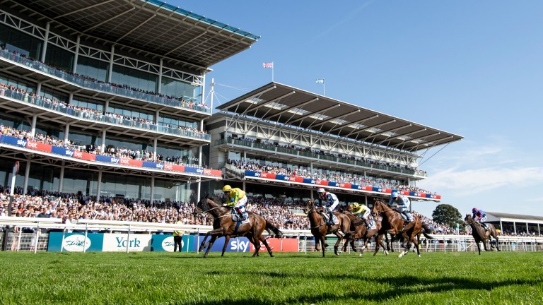 Mustajeer: winner of the Ebor