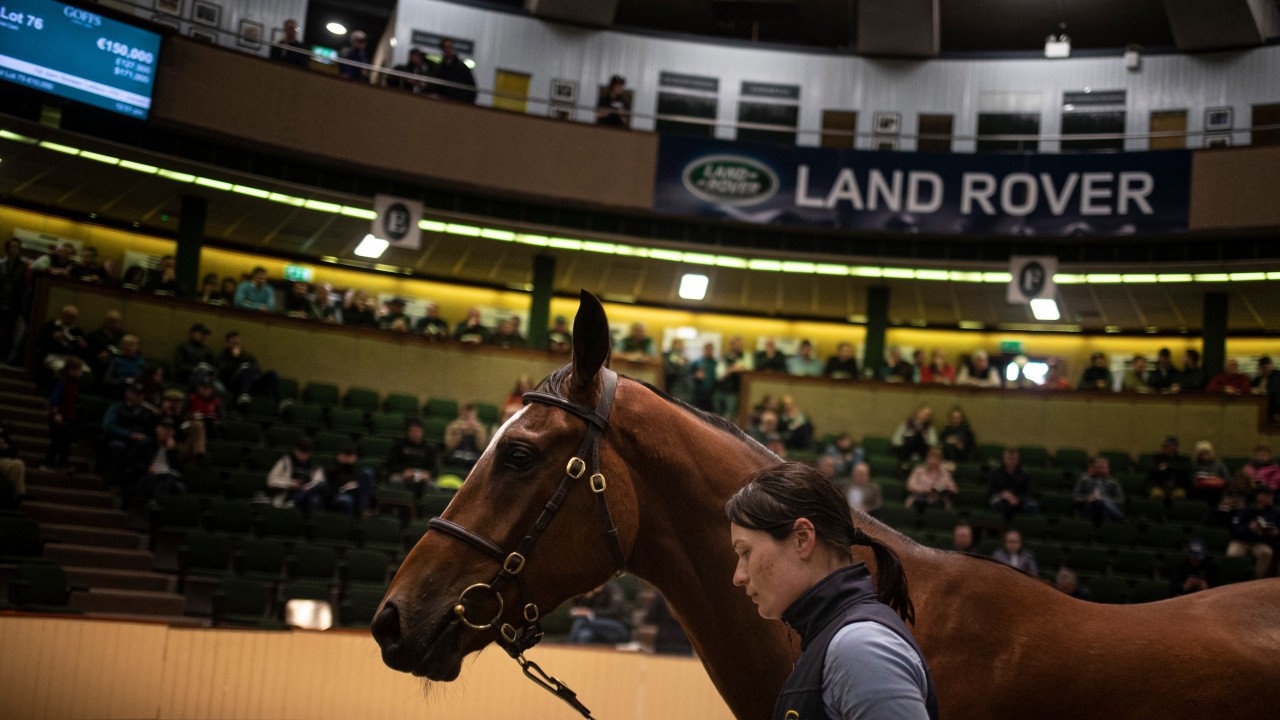 Goffs group announces schedule for 2020's round of sales Bloodstock