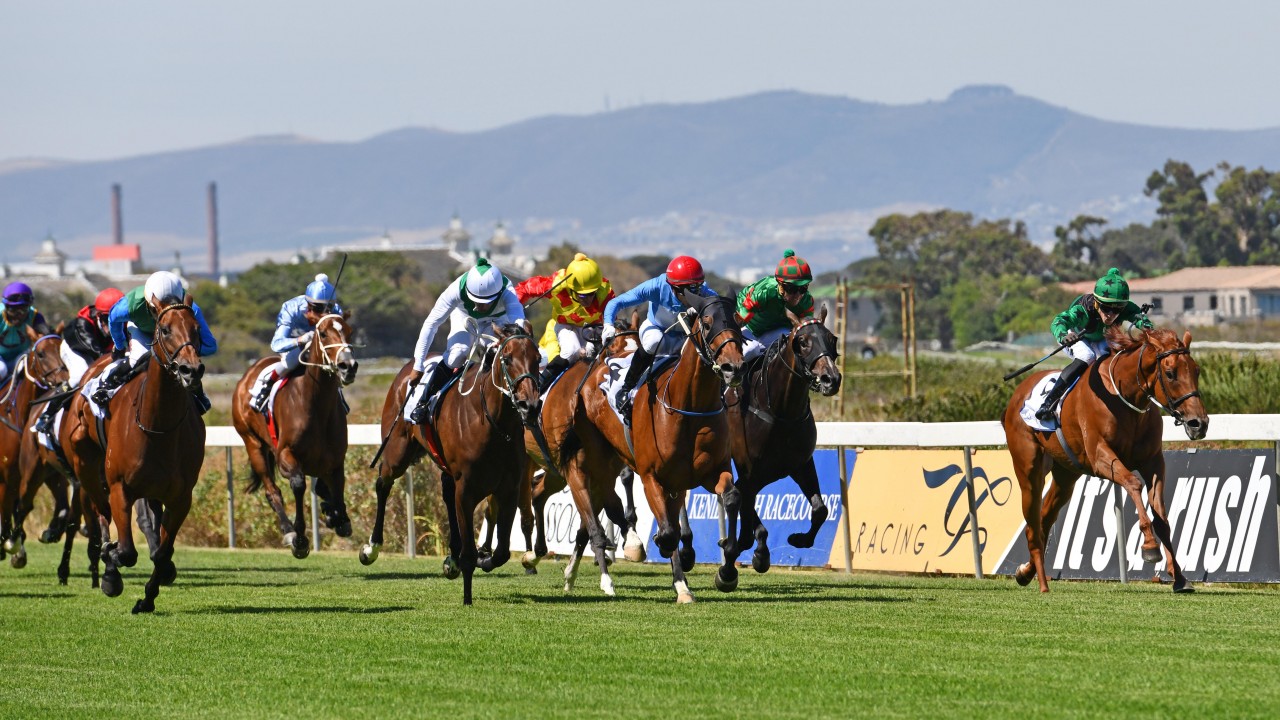 No Sunday Return In South Africa As Greyville Fixture Is Cancelled Horse Racing News Racing Post