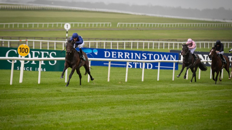 Pinatubo: finished last season with a higher mark than Frankel was at that stage of his career