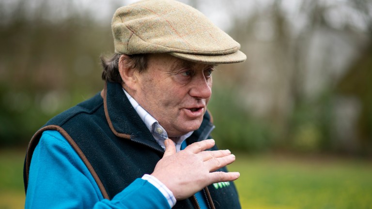 Nicky Henderson: impressed with Surrey Quest's victory at Doncaster in December