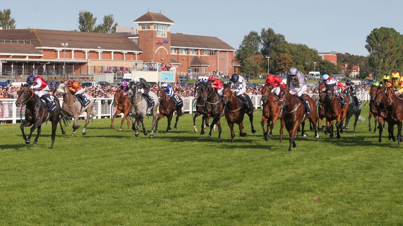 Draw For Ayr Gold Cup To Remain Behind Closed Doors Until 2022 Horse Racing News Racing Post