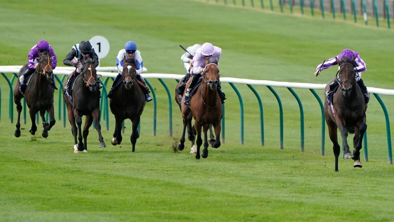 Oh Purple Reign (left) finishes last of six behind Wichita in the 2019 Tattersalls Stakes