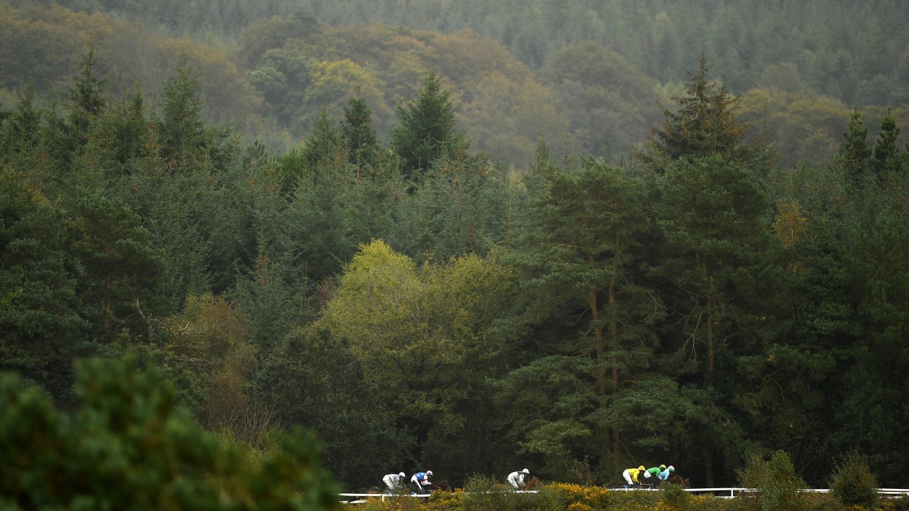Storm Ciara Sparks Fears For Racing With 80mph Winds Forecast Horse Racing News Racing Post
