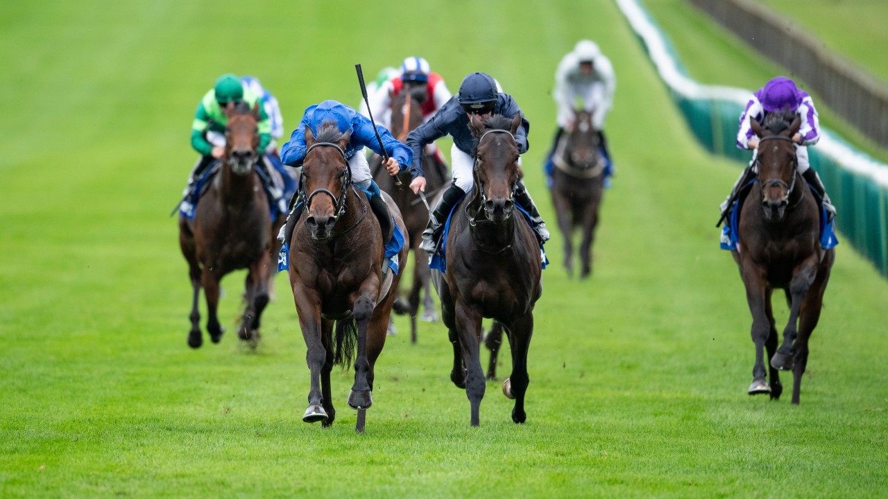 How To Win At Horse Racing