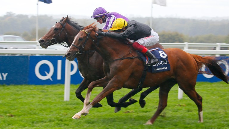 Kew Gardens downs Stradivarius in the driving rain at Ascot