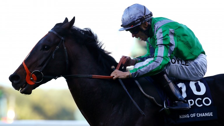 King Of Change won the Queen Elizabeth II Stakes under Sean Levey