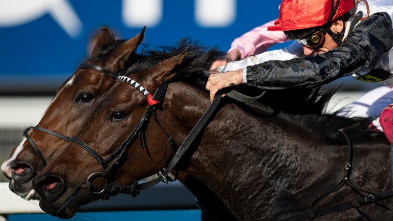 Star Catcher and Frankie Dettori on their way to defeat Delphnia in the Fillies & Mares Stakes