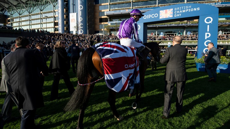 Magical and Donnacha O'Brien enter Ascot's winner's circle after the Champion Stakes