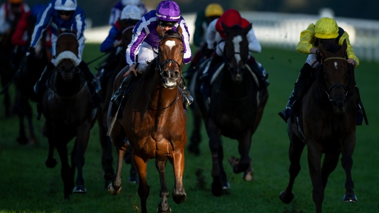 Magical is too strong for Addeybb in the Champion Stakes