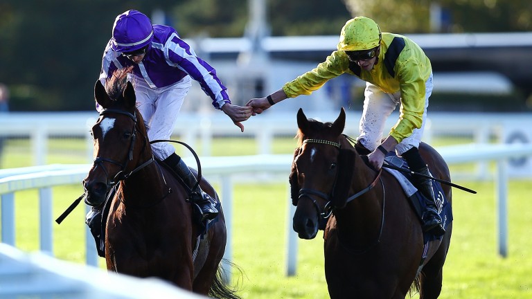 ASCOT, ENGLAND - OCTOBER 19: Donnacha O'Brien on Magical (L) is congratulated by second place James Doyle on Addeybb after winning the The QIPCO Champion Stakes during the QIPCO British Champions Day at Ascot Racecourse on October 19, 2019 in Ascot, Engla