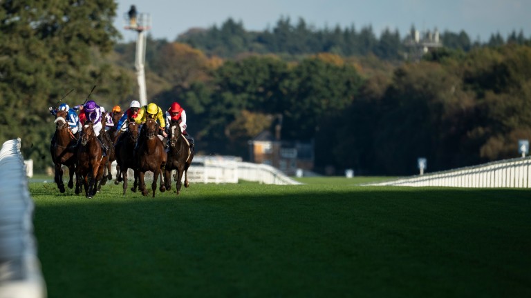 Magical (Donnacha OâBrien) beats Addeybb (R) in the Champion StakesAscot 19.9.19 Pic: Edward Whitaker