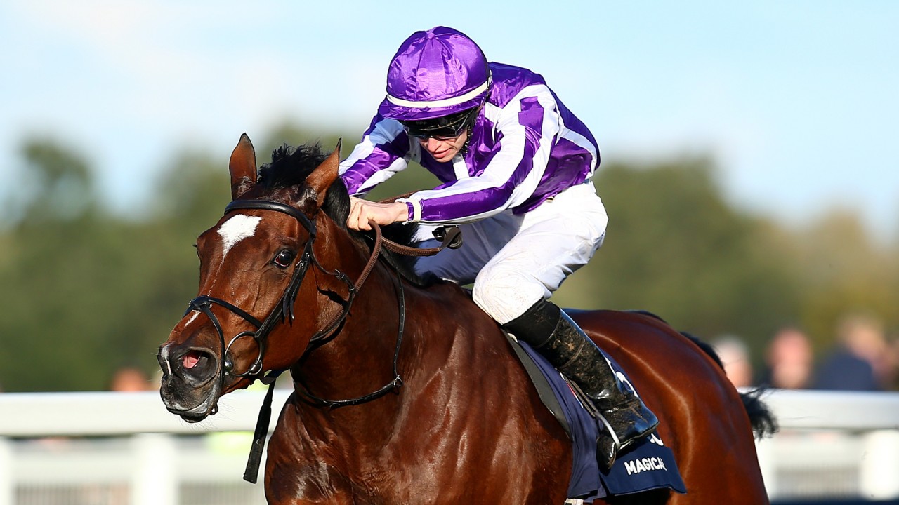 Tough And Talented Magical In Tip Top Form To Try And Land A Seventh Group 1 Horse Racing News Racing Post Tough And Talented Magical In Tip Top Form To Try And Land A Seventh Group 1 Horse Racing News Racing Post