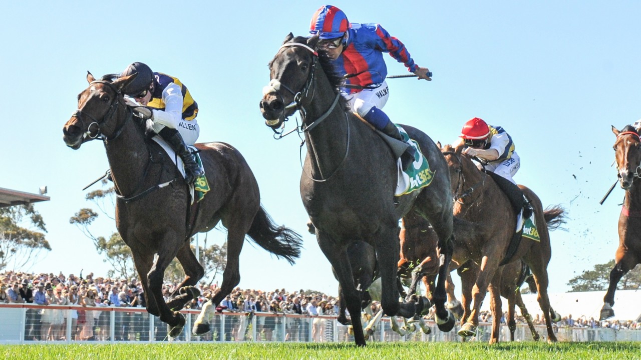 I M Going To Miss Him Fellowes Emotional As Prince Of Arran Is Retired Horse Racing News Racing Post