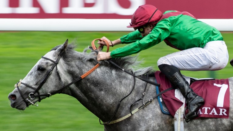 Technician, pictured winning the Prix Chaudenay, is related to Shahrastani