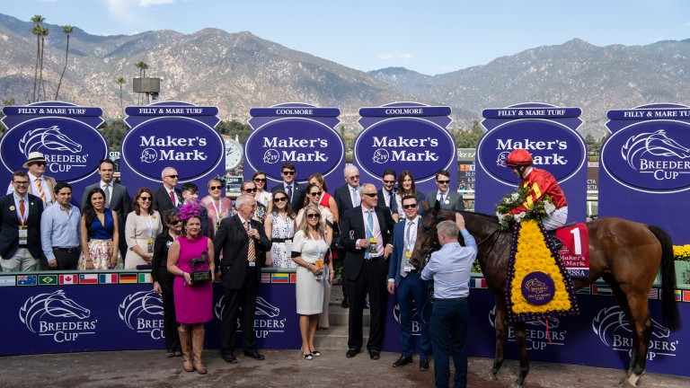 Eredisa: Victoria de Joseph O'Brien en la Breeders Cup 2019 Filly and Mare Turf