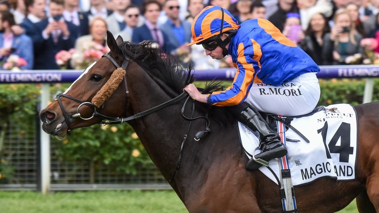 Danehill stakes bettingadvice bitcoin withdrawal
