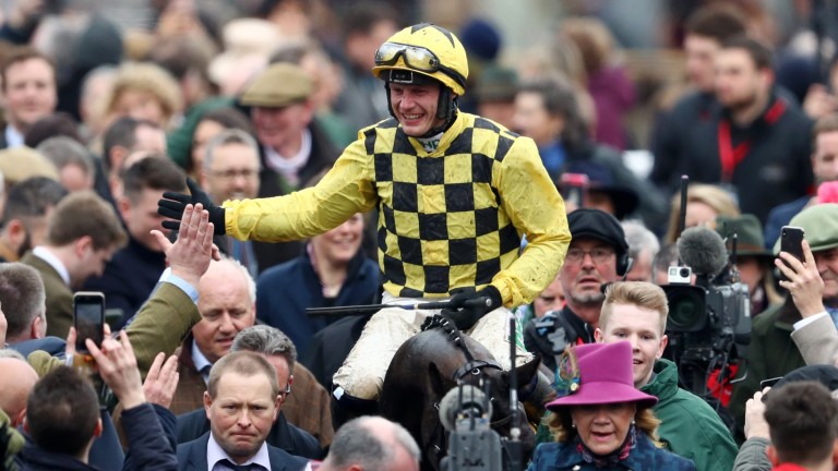 Al Boum Photo: retained the Cheltenham Gold Cup