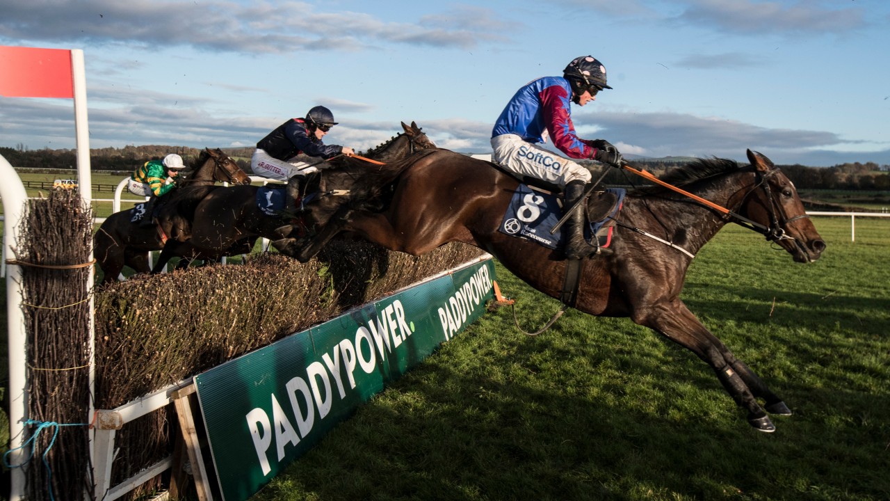 Ladbrokes Horse Ladbrokes Horse