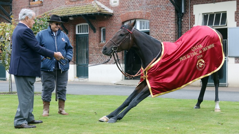 The master horseman: Alec and Criquette Head with Treve the day after her second Prix de l'Arc de Triomphe victory
