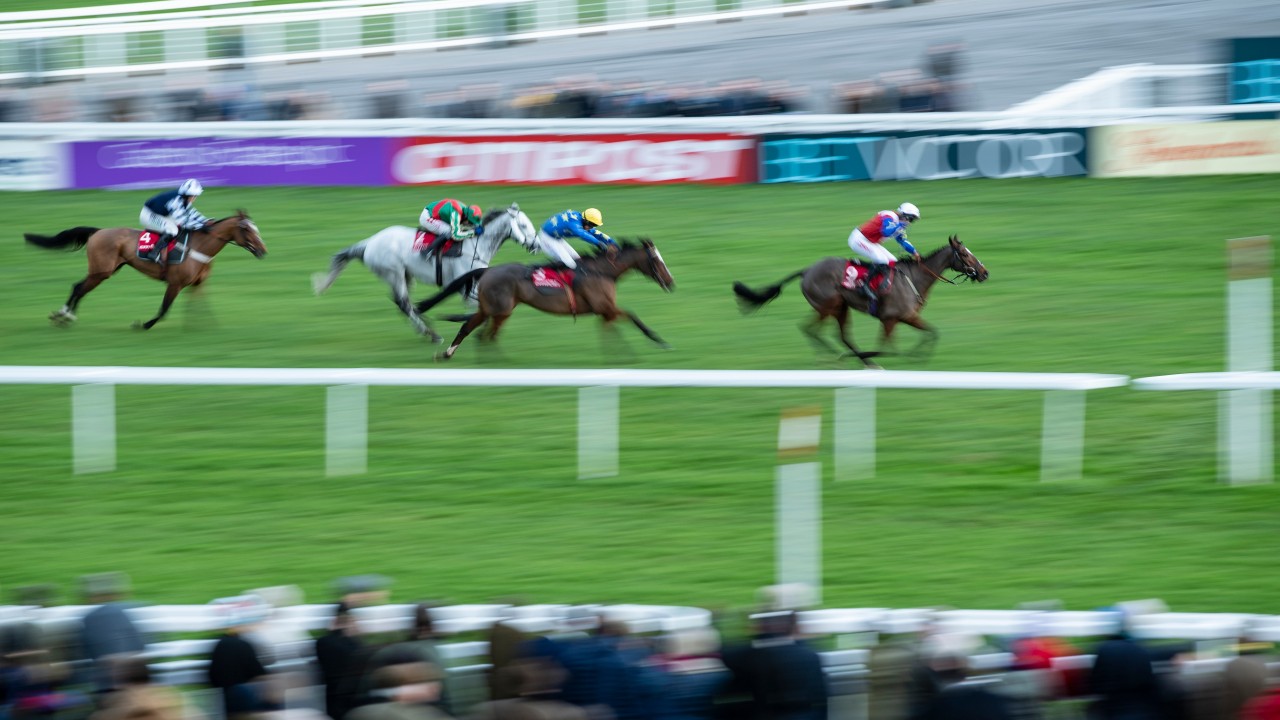 Quotes And Analysis As Saturday Horse Catches The Eye In Southwell Highlight Horse Racing News Racing Post