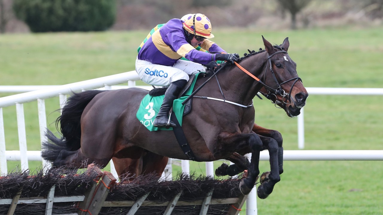 Cooper And Nolan Team Up To Down Andy Dufresne In Navan Feature Horse Racing News Racing Post
