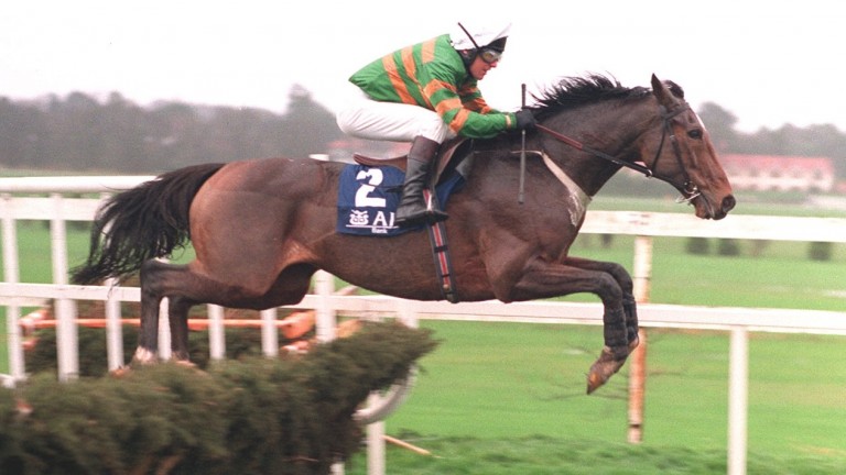 Istabraq: the hurdling legend turned 30 on Monday