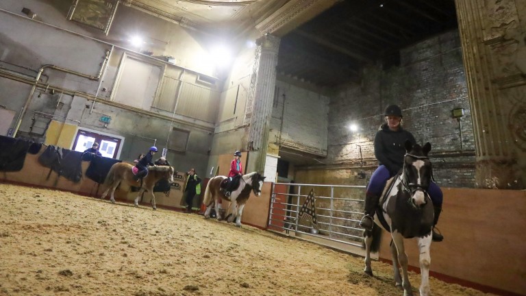 Students in action at Park Palace Ponies