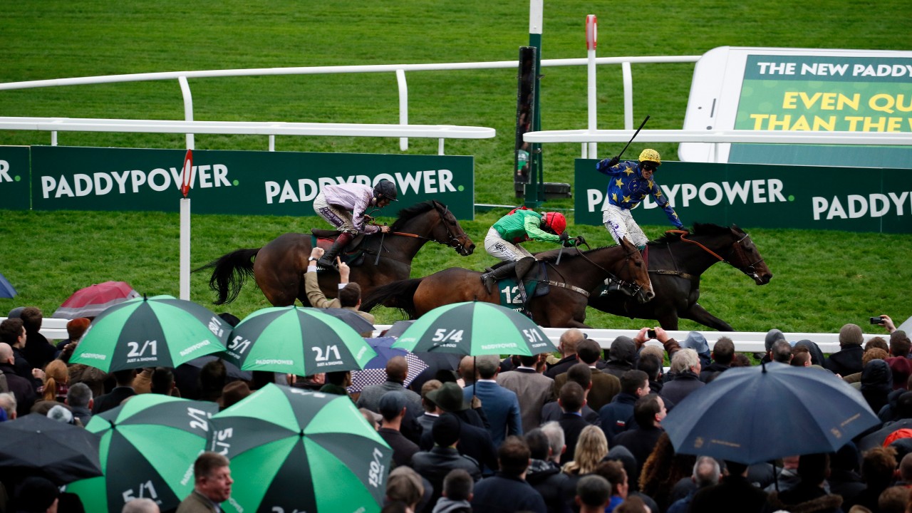 Paddy power irish derby betting expert betting eurovision 2022 grand