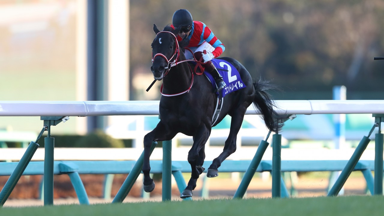 Star juvenile Contrail shows class with effortless victory in Grade 1 Horse Racing News