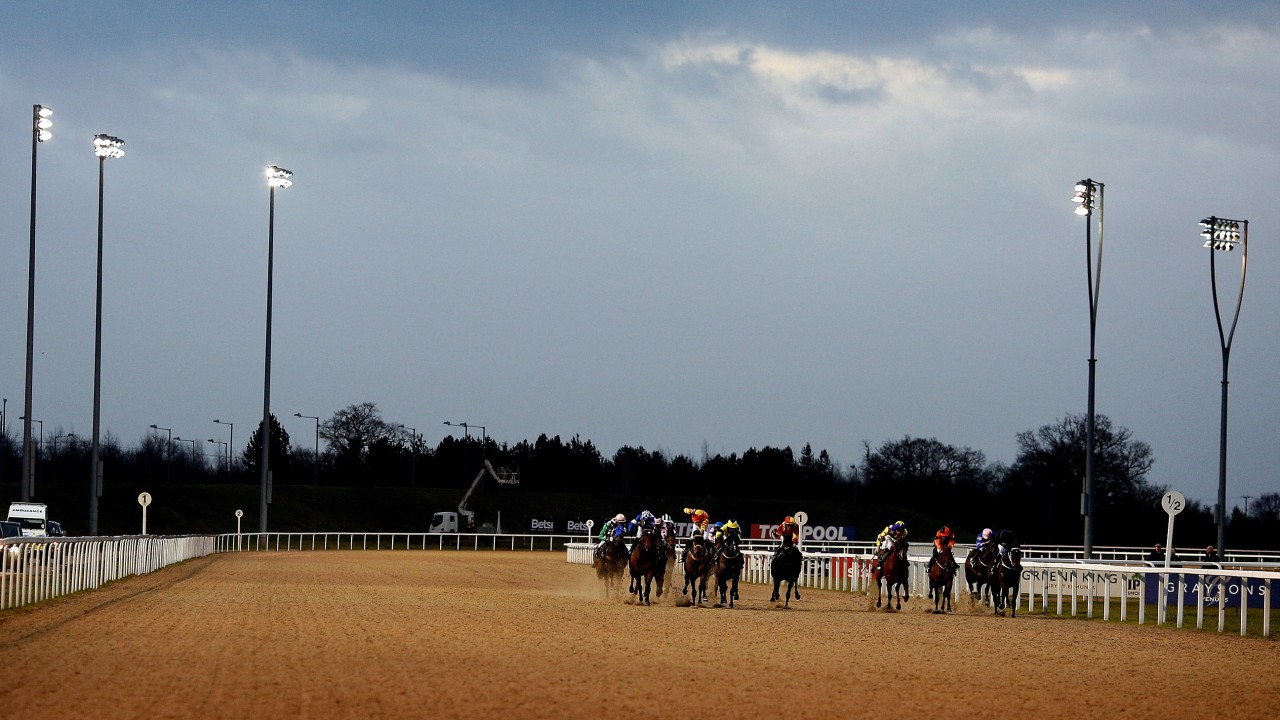 Britain S Youngest Track Chelmsford City Celebrates Fifth Birthday This Weekend Horse Racing News Racing Post