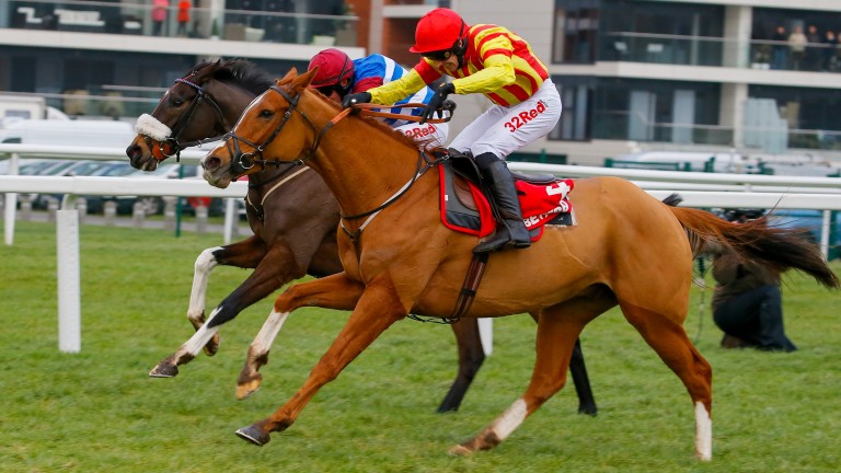 Grade 1 Challow Hurdle winner Poetic Rhythm's full-brother is offered by breeder Vincent Finn