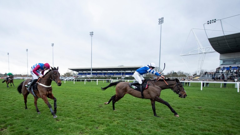 Frodon: has two options at the Cheltenham Festival