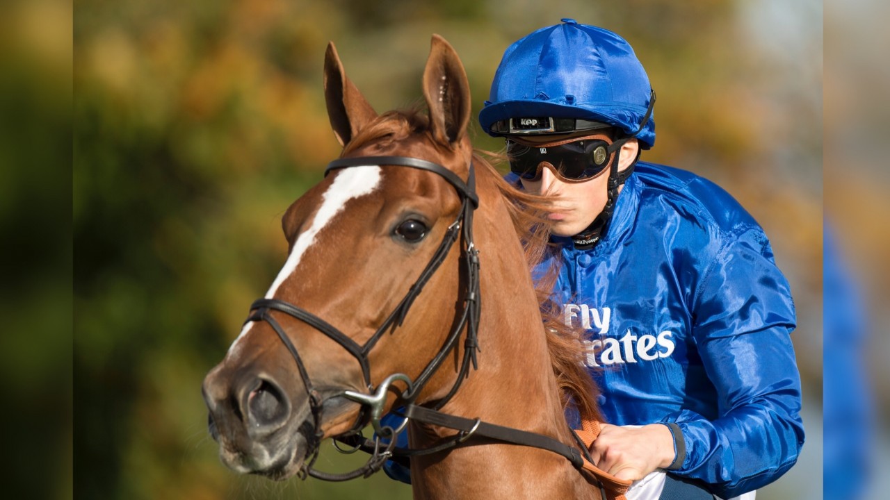 Magic Lily Lands Balanchine For Godolphin And Appleby At Meydan Horse magic-lily-lands-balanchine-for-godolphin-and-appleby-at-meydan-horse