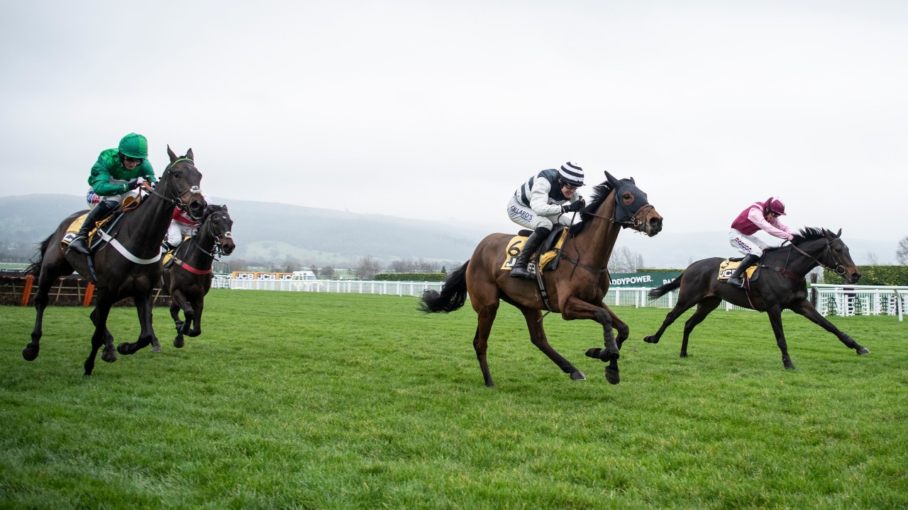 Harry Senior brings more success for Tizzard and Power in Ballymore