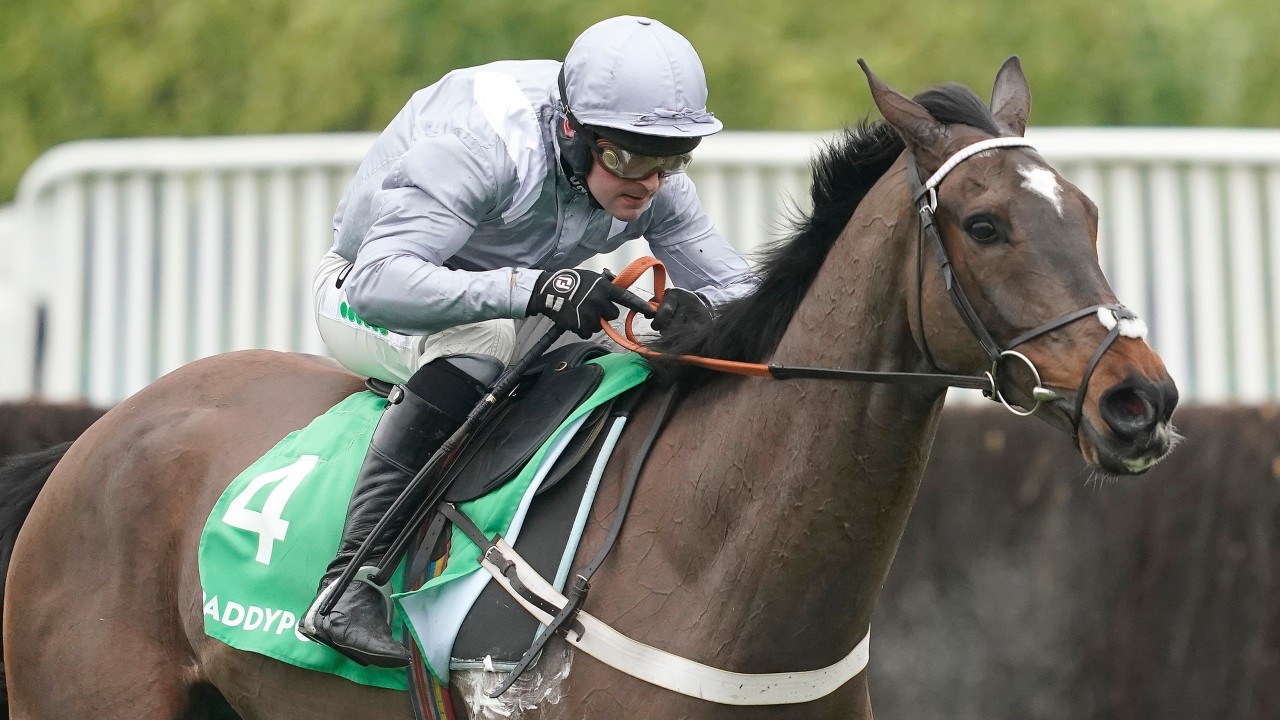 Image result for santini racing post