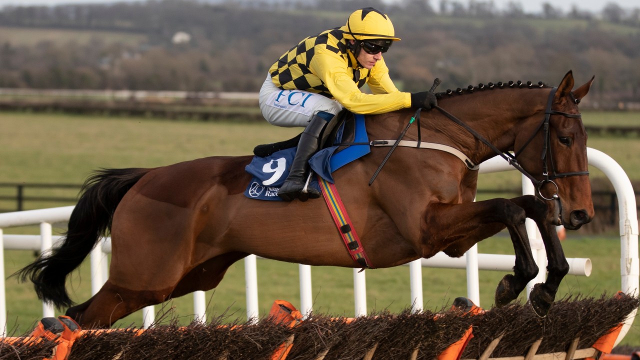 Tom Segal and Tom Collins with the biggest eyecatchers from the last